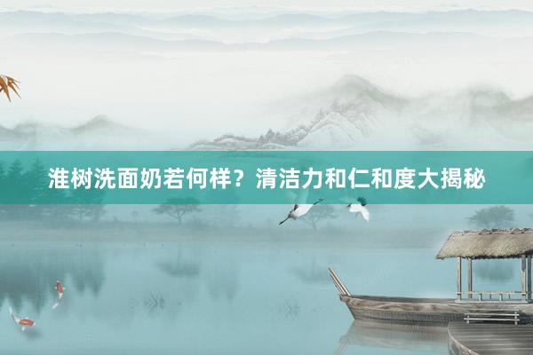 淮树洗面奶若何样？清洁力和仁和度大揭秘